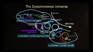 The Dysautonomia Universe (11 of 24)