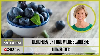 When the wild blueberry brings you back into balance  | NatureMEDICINE | QS24