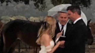 Tom Welling & Jessica Rose Lee Are Married!