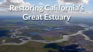 Restoring California's Great Estuary