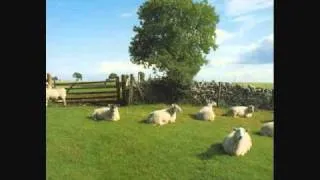 KLF - a melody from a past life keeps pulling me back