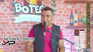 MUSICA/ SERESTA DE APURADA NETINHO BRITO / Canal Familia Brito