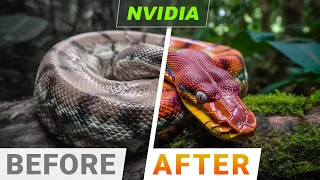 NVIDIA Did It: Ray Tracing 10,000 Times Faster!