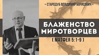 Блаженство миротворцев (Матфея 5:1-9) // Стародуб В. Б.