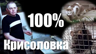 Найкраща криссоловка просто клас, 100%- результат.   Легка у виготовленні .