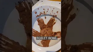 Choco ice cream served in a TOILET BOWL