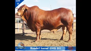 Lot 15 Anrod