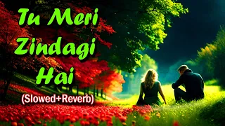 Tu Meri Zindagi Hai | Night Lofi Songs 🎵 | Mashup 🥀 | Relax & Sleep | Slowed+Reverb | Refreshing