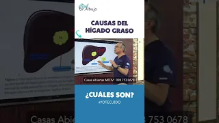 ¿Cuáles son las causas del hígado graso? 🤔