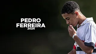 Pedro Ferreira - The Next Artist of São Paulo 🇧🇷