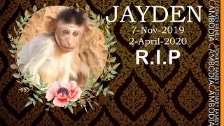 BREAK NEWS..... Jayden Passed Away This Morning, Wish Her Soul Rest In Peace.