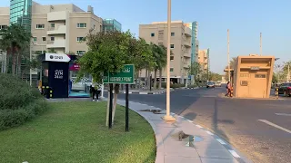 Hamad Medical City ( Female accomodation for Nurses in Qatar )