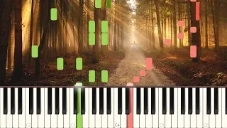 Promenade Dans Les Bois - Richard Clayderman [Piano Tutorial] (Synthesia)