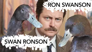 Ron Swanson Meets Her Twin Sister