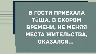 В гости приехала теща. Смех! Юмор! Позитив!