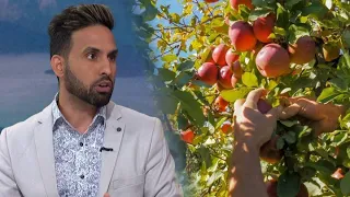 Former migrant fruit picker who was exploited says industry conditions haven’t improved