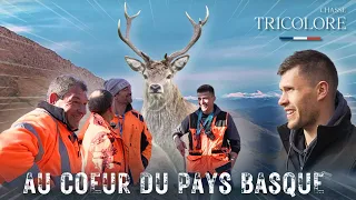 Chasse aux chiens courants au pays basque - Film