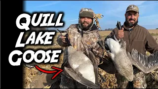 FIRST GOOSE WAS SUPER RARE!!!      Layout hunting geese in Wisconsin