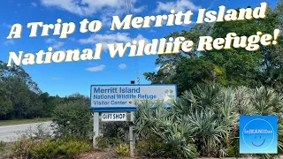 A trip to the Merritt Island National Wildlife Refuge!