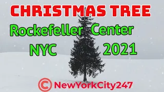 2021 Rockefeller Center Christmas Tree NYC