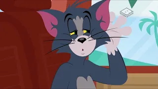 Tom and Jerry: Mummy Dearest, Pets Not Welcome - Tom and Jerry Cartoon