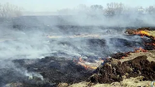 Пал травы или как люди уничтожают все живое