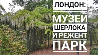 VLOG о Лондоне - Музей Шерлока Холмса и Ридженс парк.