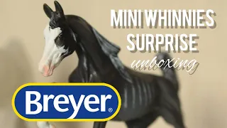 РАСПАКОВКА BREYER Mini Whinnies l Лошадки-малютки!