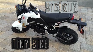 Big Guy, Tiny Bike - 2015 Honda Grom 125