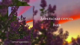 Bakr | Апрельская сирень