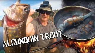 Portaging Deep into Algonquin Park’s Interior for Native Trout Fishing & Camping