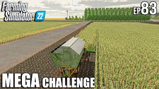 Silage HARVEST and LOAD with CUSTOM KRONE | MEGA Challenge | Farming Simulator 22 #83