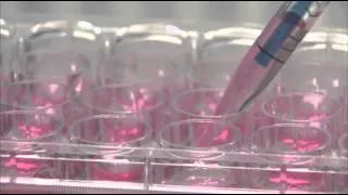 UK Scientists Make Body Parts in Lab