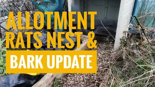 Allotment, rats nest and bark update, March