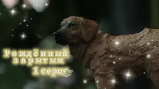 Рождённый зарытым  1 серия  (шляйх/schleich сериал)