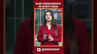 Rare Phenomenon Pummeling Rains In North India, Not Climate Change | Floods in Himachal | #shorts