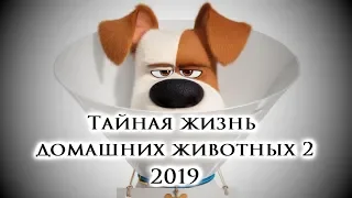 Тайная жизнь домашних животных 2 /The Secret Life of Pets 2