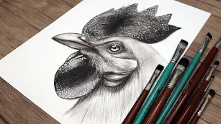 How to draw a realistic rooster head step by step | Pencil drawing tutorial
