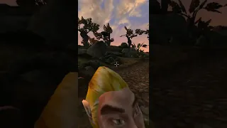 Killing the adoring fan in Morrowind every day until Skywind and Skyblivion are released Day - 531