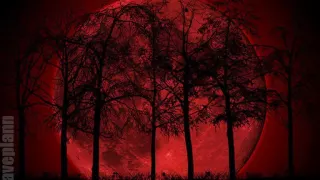 Dark forest Deidriim Dark Psytrance Forest Mix 12 11 2013