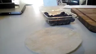 Turtles love taco Tuesday!