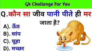 GK Question || GK In Hindi || GK Question and Answer || GK Quiz || NK GK STUDY ||