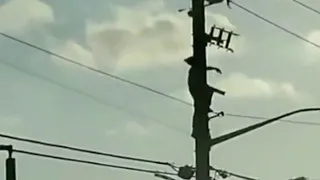 Man badly burned after climbing power pole and touching live wires