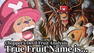 What Everyone Gets Wrong About Chopper's DEVIL FRUIT Explained in OnePiece!