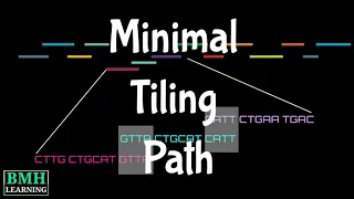 Minimal Tiling Path