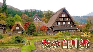 Autumn Colors in Shirakawa-go 2021. A World Heritage Site. #白川郷 #4K