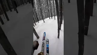 First tree run. This is a parody do not take advice to heart #skiing #powder #trees #snow #gopro