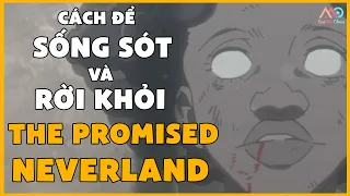 Cách để sống sót The PROMISED NEVERLAND