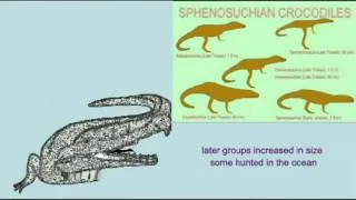 ARCHOSAUR SONG