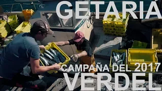 GETARIA - La pesca del VERDEL #2017